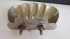 Vtg. Bathroom Scallop shaped Shell Soap Holder